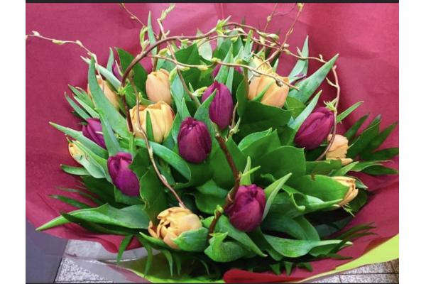 Bouquet de tulipes colorées  811664
