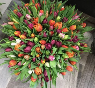 Les tulipes 680596