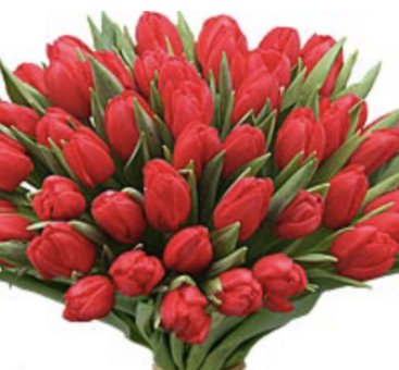 Bouquet tulipes rouges 811658