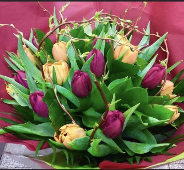 Bouquet de tulipes colores  811664